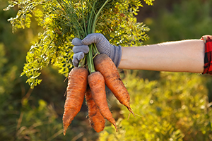 7 Foods for Healthy Eyesight