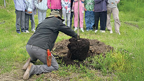 Ameritas associates helping plant trees at a local elementary school.